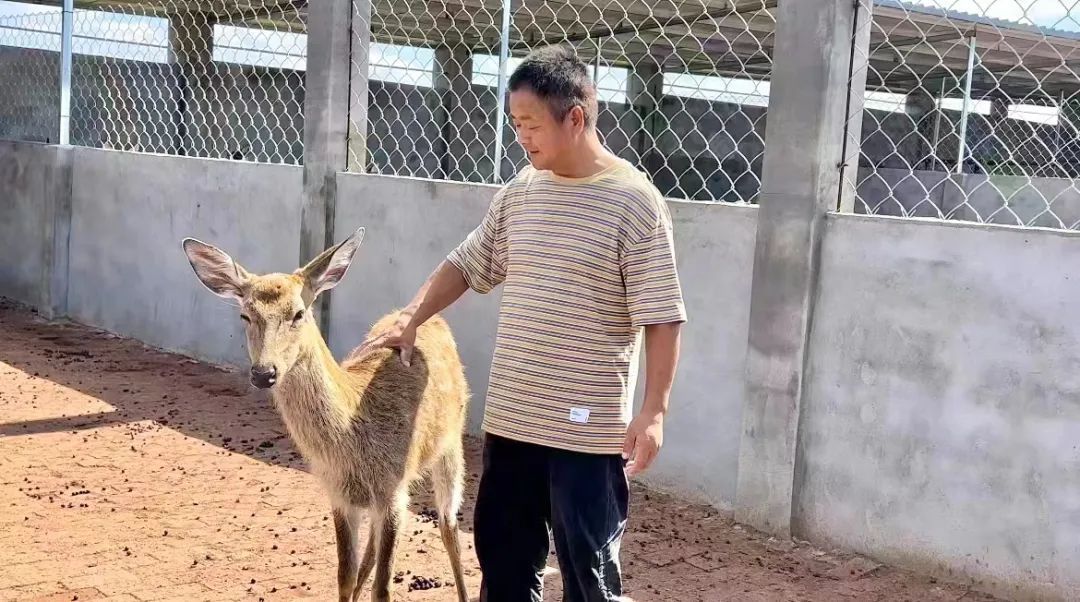 迪士尼赌博