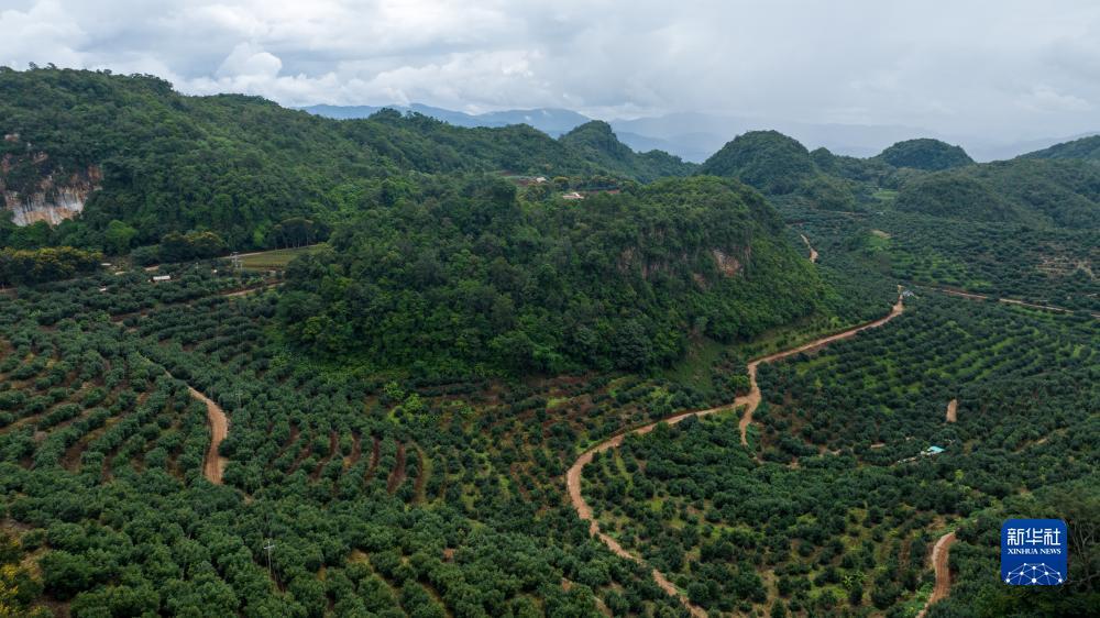 小美斗地主电脑版下载官方下载